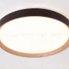 Потолочный светильник Ambrella Light Orbital Design FZ1326 FZ1326 - 7