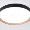 Потолочный светильник Ambrella Light Orbital Design FZ1326 FZ1326 - 6