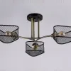 Потолочная люстра Ambrella Light Loft TR80171 TR80171 - 4