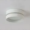 Накладной светильник Ambrella Light IP Protect TN5391 TN5391 - 5