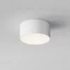 Уличный потолочный светильник Maytoni Zon IP O430CL-L15W4K O430CL-L15W4K - 3