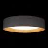 Потолочный светильник Loft IT Coin 10202 Grey 10202 Grey - 4