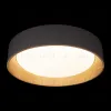 Потолочный светильник Loft IT Coin 10202 Grey 10202 Grey - 2