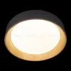 Потолочный светильник Loft IT Coin 10202 Grey 10202 Grey - 6