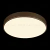 Потолочный светильник Loft IT Flims 10228/A 10228/A - 2