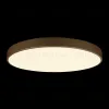 Потолочный светильник Loft IT Flims 10228/B 10228/B - 4