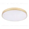 Потолочный светильник Loft IT Flims 10228/B 10228/B - 3