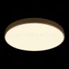 Потолочный светильник Loft IT Flims 10228/B 10228/B - 2