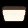 Потолочный светильник Loft IT Flims 10228/C 10228/C - 6