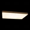 Потолочный светильник Loft IT Flims 10228/E 10228/E - 2