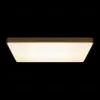 Потолочный светильник Loft IT Flims 10228/E 10228/E - 6