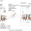 Подвесная люстра Crystal Lux STEFANIA SP6R STEFANIA SP6R - 4
