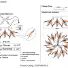 Потолочная люстра Crystal Lux STEFANIA PL9 STEFANIA PL9 - 7