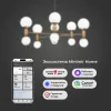 Подвесная люстра Eurosvet Bubble 30182 латунь a063213 30182 латунь Smart - 3
