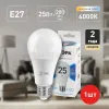 Лампа светодиодная Эра E27 25W 4000K LED A65-25W-840-E27 Б0035335 Б0035335 - 3