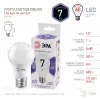 Лампа светодиодная Эра E27 7W 6000K LED A60-7W-860-E27 Б0044087 Б0044087 - 3