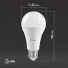 Лампа светодиодная Эра E27 30W 6000K LED A65-30W-860-E27 Б0048017 Б0048017 - 6