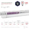 Лампа светодиодная Эра G13 10W 6500K LED T8-10W-865-G13-600mm Б0033000 Б0033000 - 2
