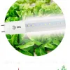 Фитолампа для растений светодиодная Эра G13 18W 1200K FITO-18W-Ra90-Т8-G13-NL Б0042987 Б0042987 - 2