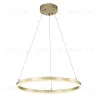 Подвесной светодиодный светильник Escada Void 10254/1LED Gold APP 10254/1LED Gold APP - 4