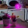 Лампа светодиодная для растений (09645) Uniel E27 9W прозрачная LED-A60-9W/SP/E27/CL ALM01WH LED-A60-9W/SP/E27/CL ALM01WH картон - 6