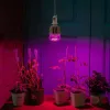 Лампа светодиодная для растений (11098) Uniel E27 20W прозрачная LED-M80-20W/SP/E27/CL ALS55WH LED-M80-20W/SP/E27/CL ALS55WH картон - 4