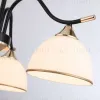 Люстра на штанге Ambrella Light Modern TR3161 TR3161 - 6