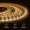 Светодиодная лента Apeyron Стандарт 24В 5050 14,4Вт/м 3000К 5м IP20 00-338 00-338 - 7