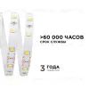 Светодиодная лента Apeyron Стандарт 24В 5050 14,4Вт/м 3000К 5м IP20 00-338 00-338 - 5