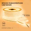 Светодиодный двусторонний неон Apeyron Стандарт 220В 2835 6Вт/м 3000К 50м IP65 17-21 17-21 - 5