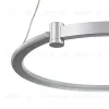 Подвесной светильник Indigo Circolato V000078L V000078L - 4