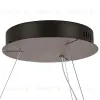 Подвесная люстра Lightstar Faraone 701161 701161 - 4