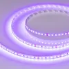 Светодиодная лента Arlight RT-A120-8mm 24V Violet (9.6 W/m, IP20, 2835, 5m) 043384 043384 - 1