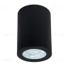 Накладной светильники Arte Lamp Tino A1468PL-1BK A1468PL-1BK - 1