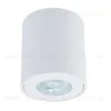 Накладной светильники Arte Lamp Tino A1469PL-1WH A1469PL-1WH - 1