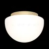Потолочный светильник Maytoni Glassy MOD270CL-01G MOD270CL-01G - 4