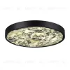 Настенно-потолочный светильник Odeon Light Bergi 5064/40L 5064/40L - 3