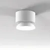 Накладной спот Elektrostandard Smooth 4690389203244 25053/LED a065460 4690389203244 - 4