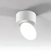 Накладной спот Elektrostandard Smooth 4690389203244 25053/LED a065460 4690389203244 - 5