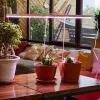 Светильник для растений Uniel ULI-P33-35W/SPLX IP40 WHITE UL-00010527 ULI-P33-35W/SPLX IP40 WHITE - 6
