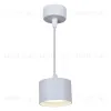 Подвесной светильник Reluce 53006-0.9-001LD GX53 WT 53006-0.9-001LD GX53 WT - 4
