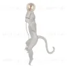 Настенный светильник Loft IT Monkey 10314W/B 10314W/B - 3