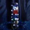 Светодиодная гирлянда линейная Лед шарики Feron CL565 48610 48610 - 1