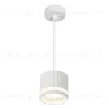 Подвесной светильник Feron Olympus HL3698 48685 48685 - 2