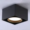 Накладной светильник Ambrella Light GX Standard tech TN70866 TN70866 - 2