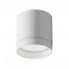 Накладной светильник Maytoni Polar C088CL-GX53-W C088CL-GX53-W - 2