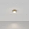 Потолочный светильник Maytoni Zon C032CL-12W4K-RD-MG C032CL-12W4K-RD-MG - 2