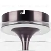 Потолочный светильник Lightstar Celesta 809200 809200 - 3