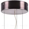 Подвесной светильник Lightstar Celesta 809210 809210 - 3