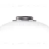 Настольная лампа Lightstar Colore 805906 805906 - 5
